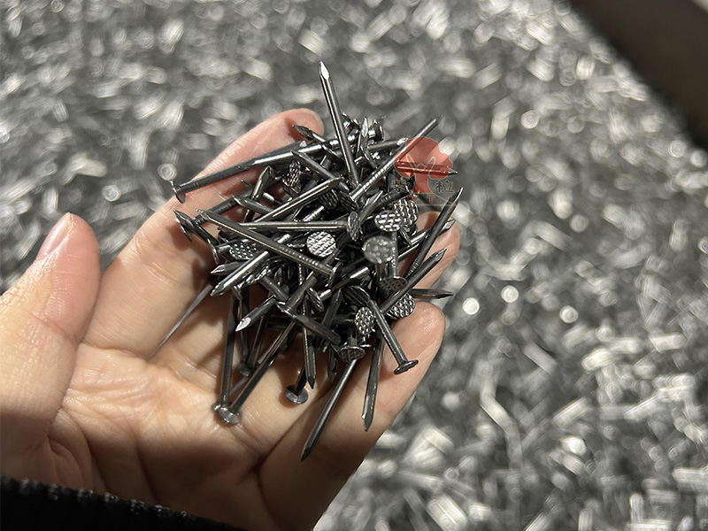 common wire nails