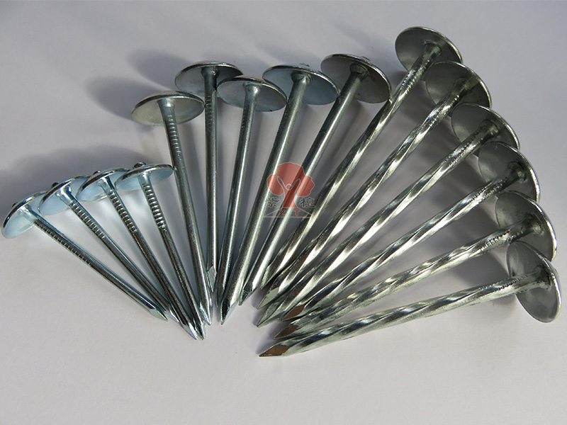 umbrella head roofing nails