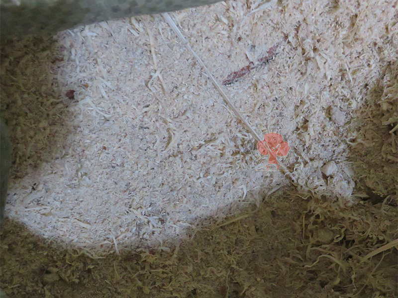 sawdust media for nail polishing machine