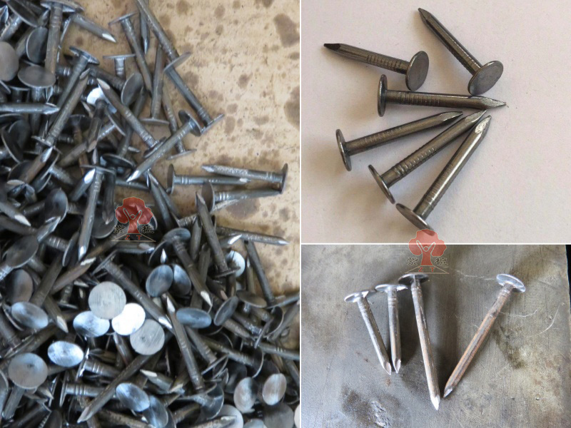 Large Head Clout Nails Made by Z94-4C Clout Nail Making Machine
