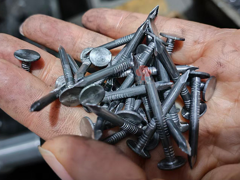 large head clout nails