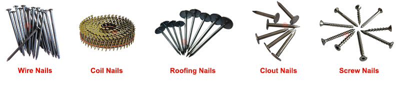 nail types